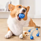 Automatic Moving Dog Toy Ball Smart USB Jumping Rotating Interactive Dog Chew Toy Ball for Puppy Ball Toys