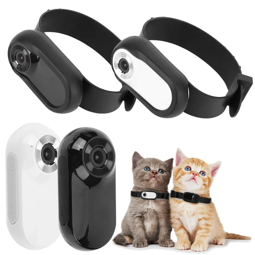 HD 1080P Dog Tracker Collar No WiFi Needed Dog Cat Pet Camera Collar Pet Sport Camera Video Records for Cats Dogs Birthday Gift