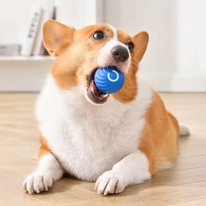 Dog Toys Intelligent Gravity Jump Ball Rechargeable Bite-Resistant Rolling Ball Cat And Dog Chase Interactive Pet Toys